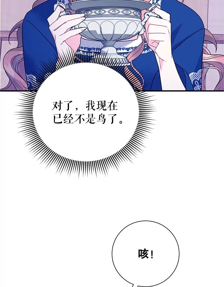 42.诡异的举止-传令鸟公主殿下-SWE ,Coin,hanryui（第3张）