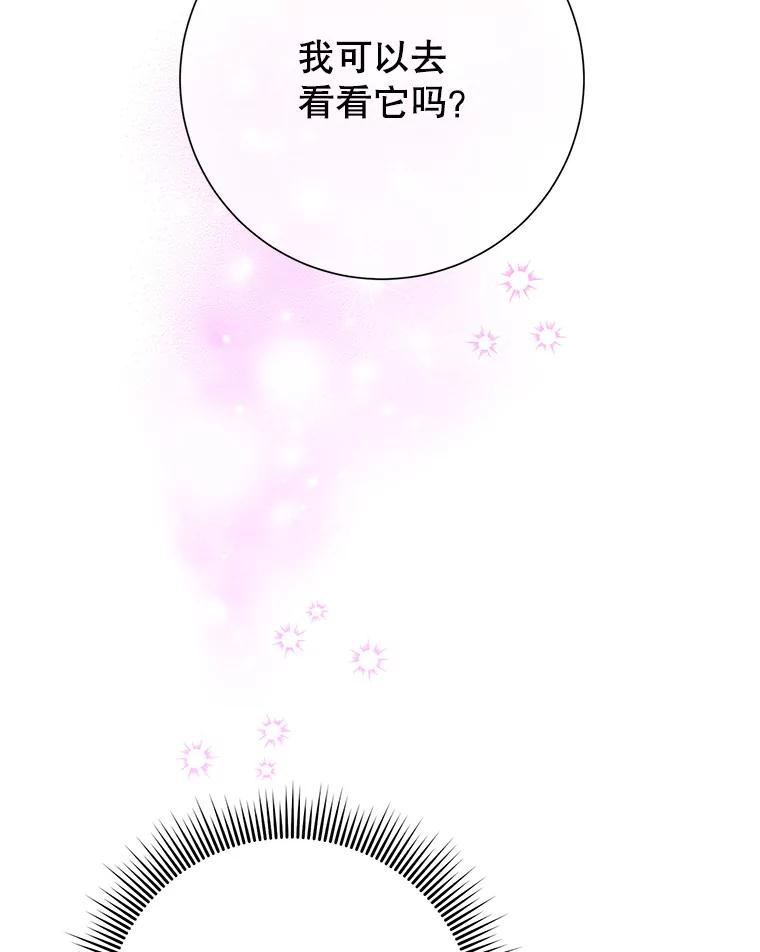 43.总司令官疯了？！-传令鸟公主殿下-SWE ,Coin,hanryui（第10张）