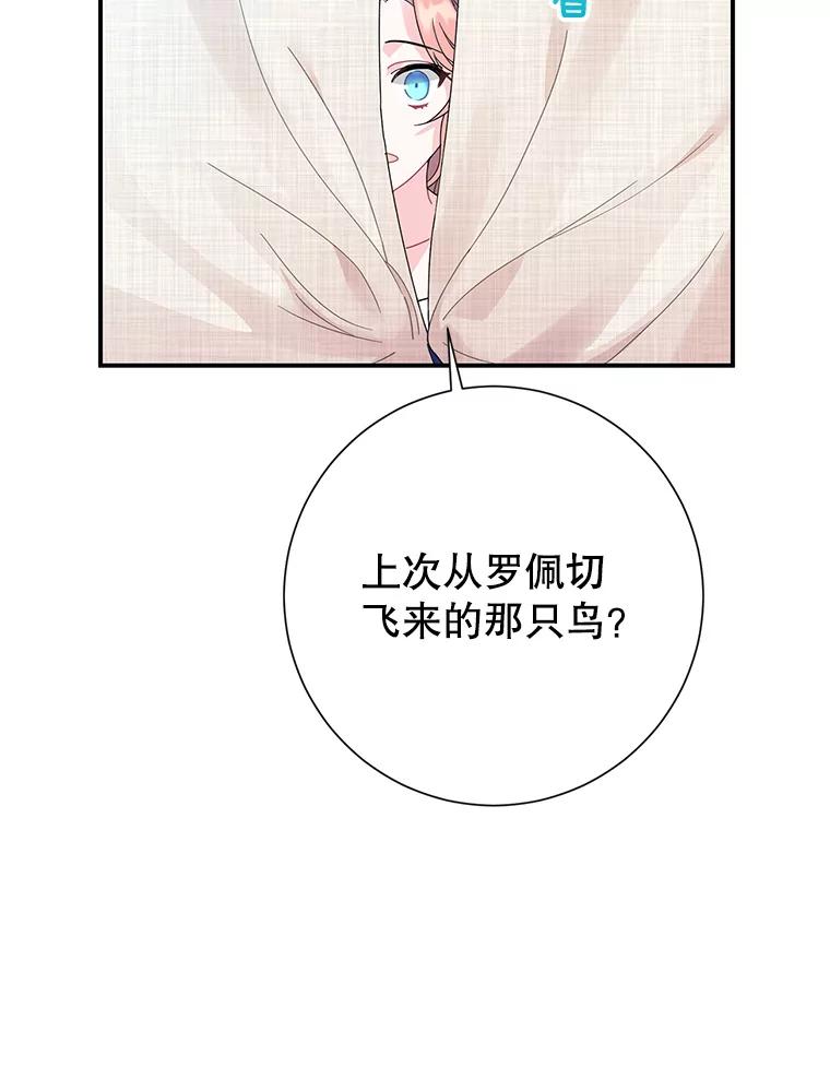 45.偷看密信-传令鸟公主殿下-SWE ,Coin,hanryui（第2张）