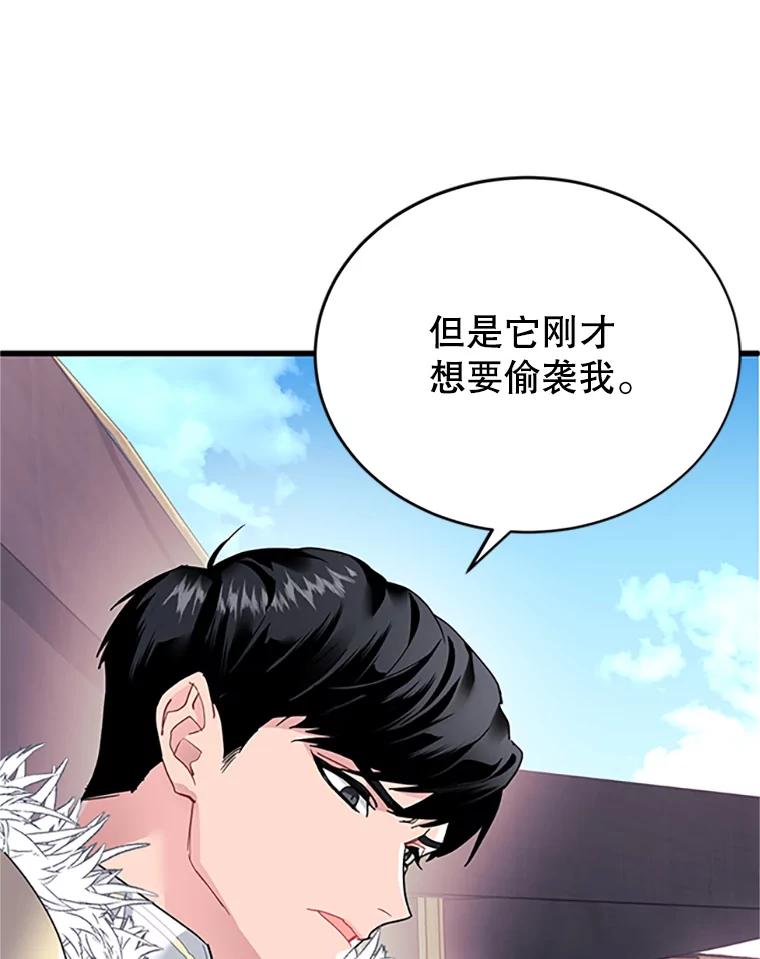 3.初见法拉尔-传令鸟公主殿下-SWE ,Coin,hanryui（第9张）