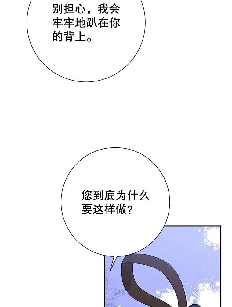 48.分享葡萄-传令鸟公主殿下-SWE ,Coin,hanryui（第5张）