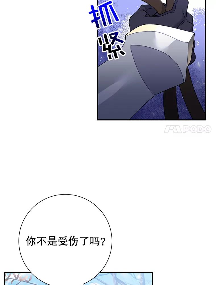 48.分享葡萄-传令鸟公主殿下-SWE ,Coin,hanryui（第6张）
