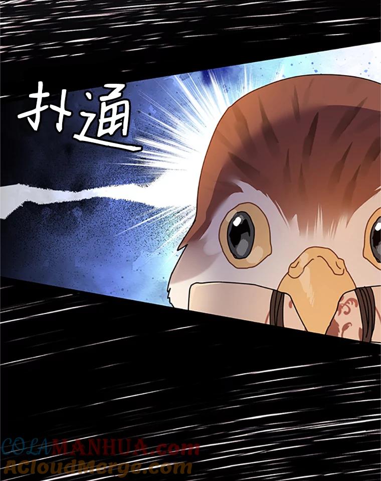 4.干得好，总司令官！-传令鸟公主殿下-SWE ,Coin,hanryui（第8张）