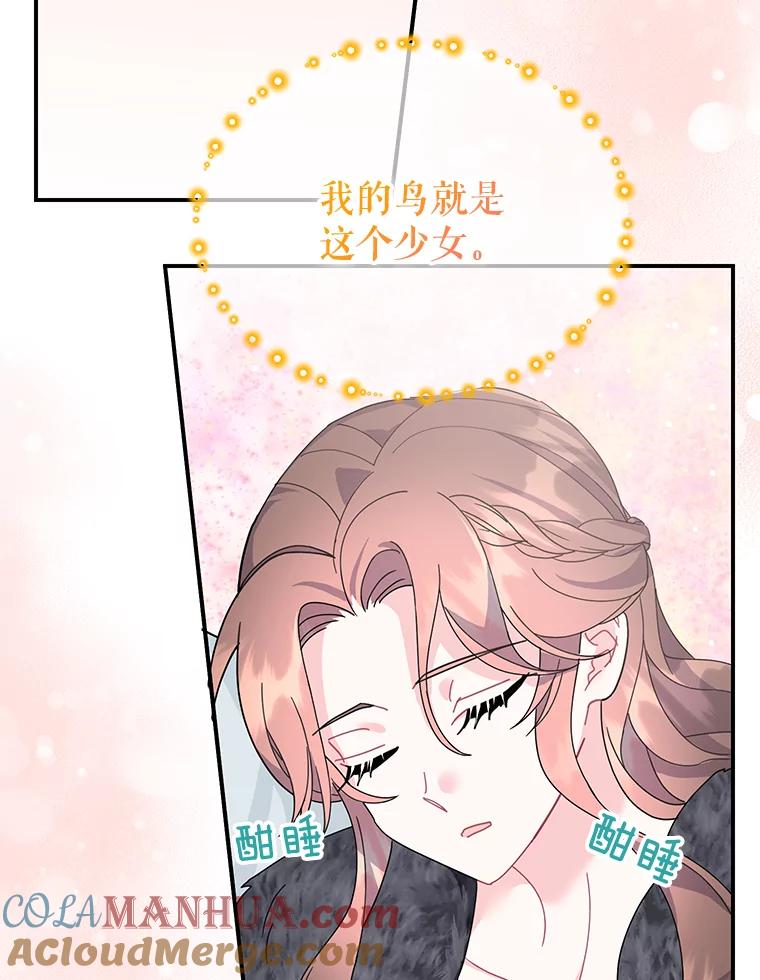 62.我的鸟-传令鸟公主殿下-SWE ,Coin,hanryui（第12张）