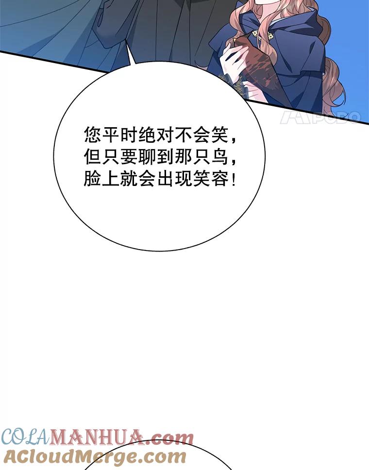 72.有缘分的鸟-传令鸟公主殿下-SWE ,Coin,hanryui（第16张）