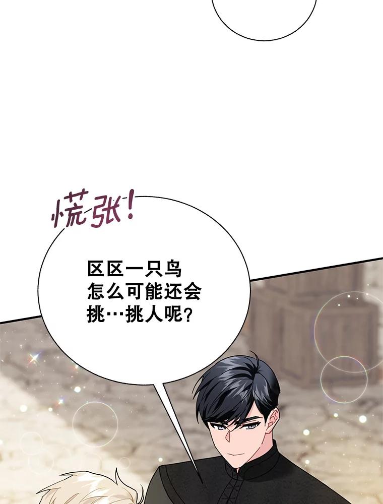 72.有缘分的鸟-传令鸟公主殿下-SWE ,Coin,hanryui（第11张）
