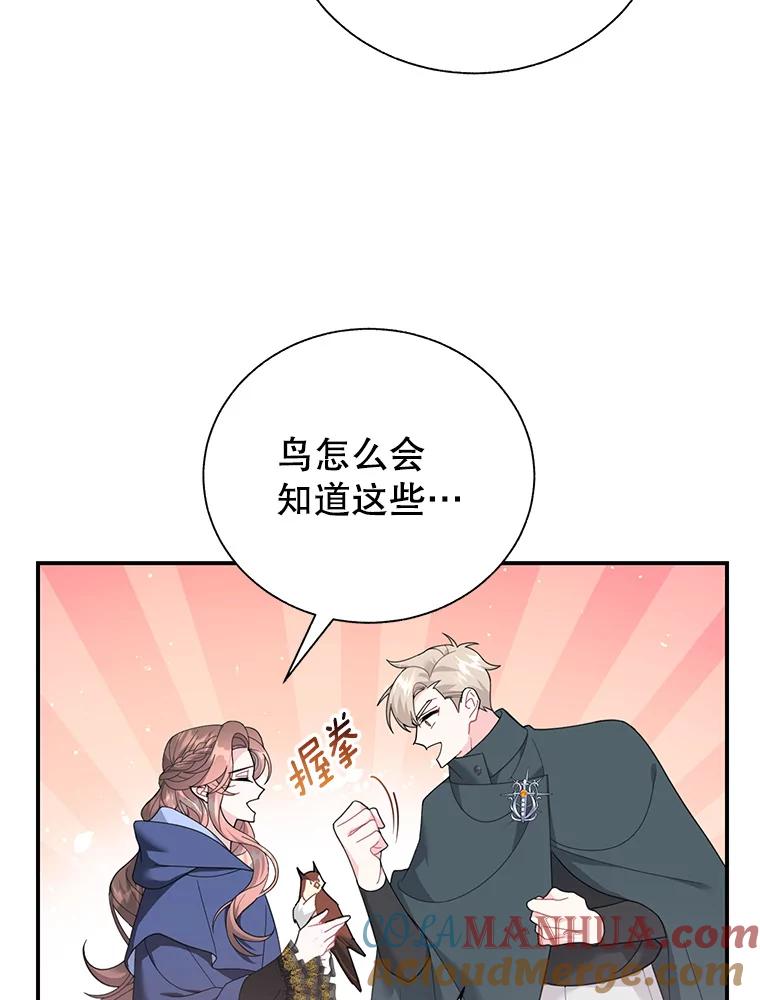 72.有缘分的鸟-传令鸟公主殿下-SWE ,Coin,hanryui（第4张）