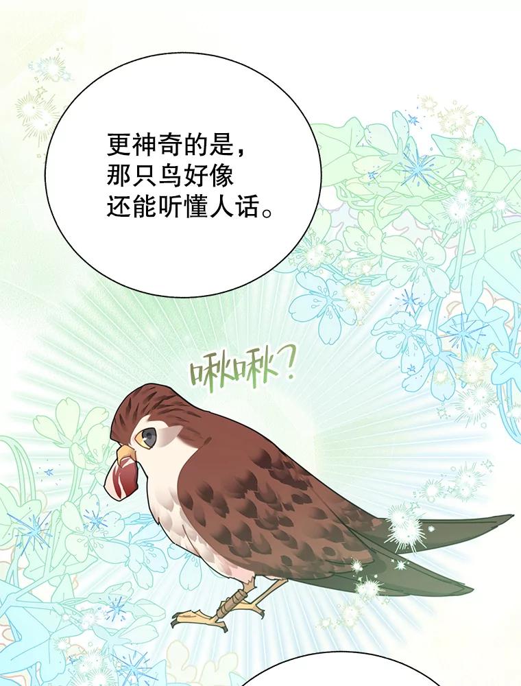 72.有缘分的鸟-传令鸟公主殿下-SWE ,Coin,hanryui（第7张）