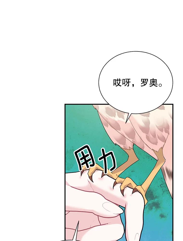78.撒娇-传令鸟公主殿下-SWE ,Coin,hanryui（第1张）