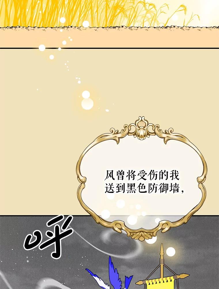 87.假诱饵-传令鸟公主殿下-SWE ,Coin,hanryui（第6张）