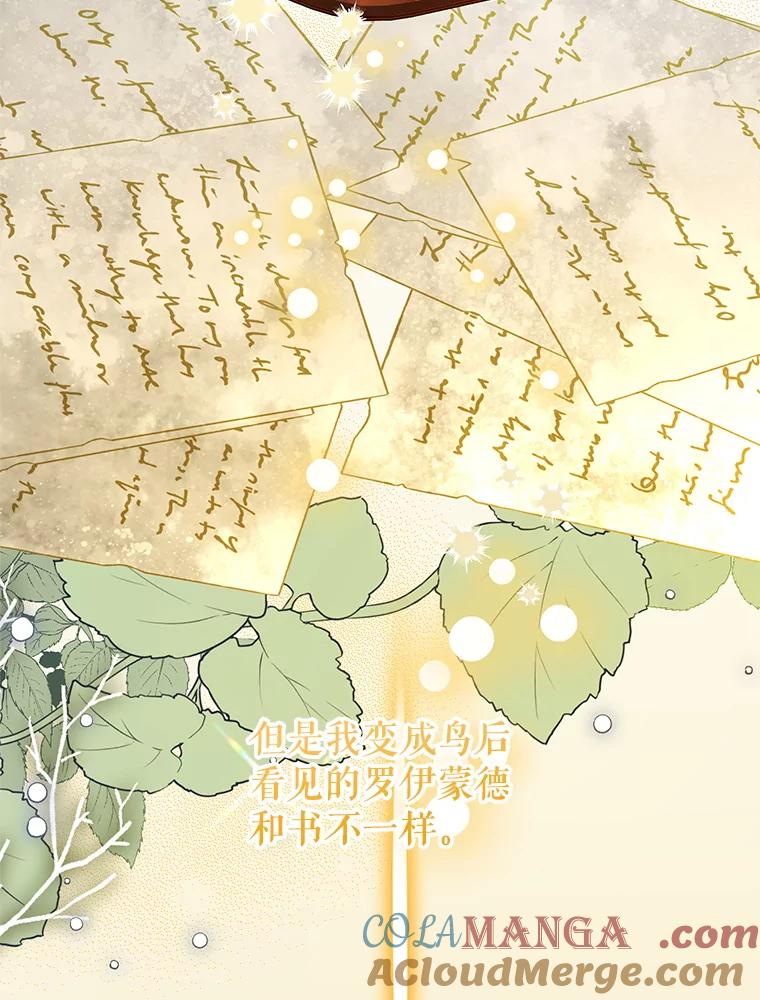 87.假诱饵-传令鸟公主殿下-SWE ,Coin,hanryui（第3张）