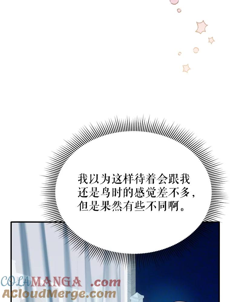 96.共进午餐-传令鸟公主殿下-SWE ,Coin,hanryui（第7张）