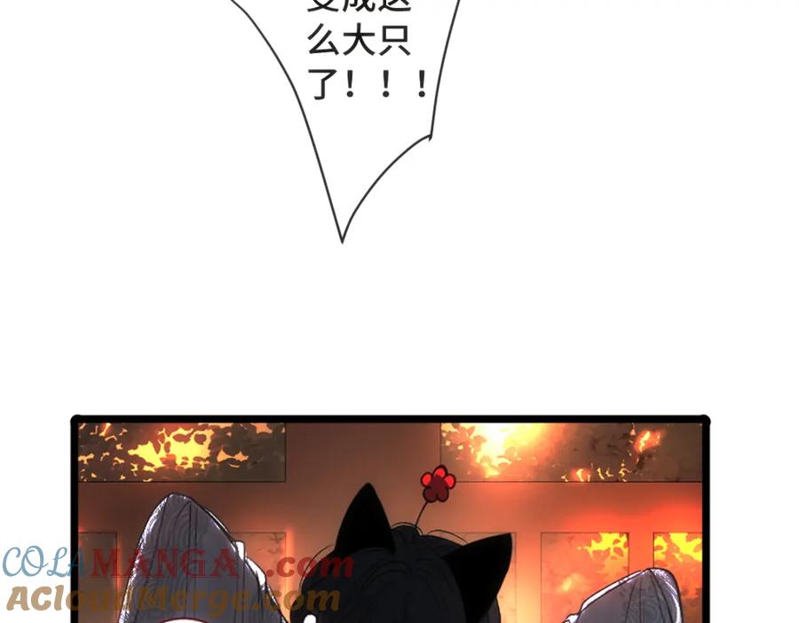 82.jpg