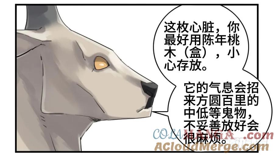 31.jpg
