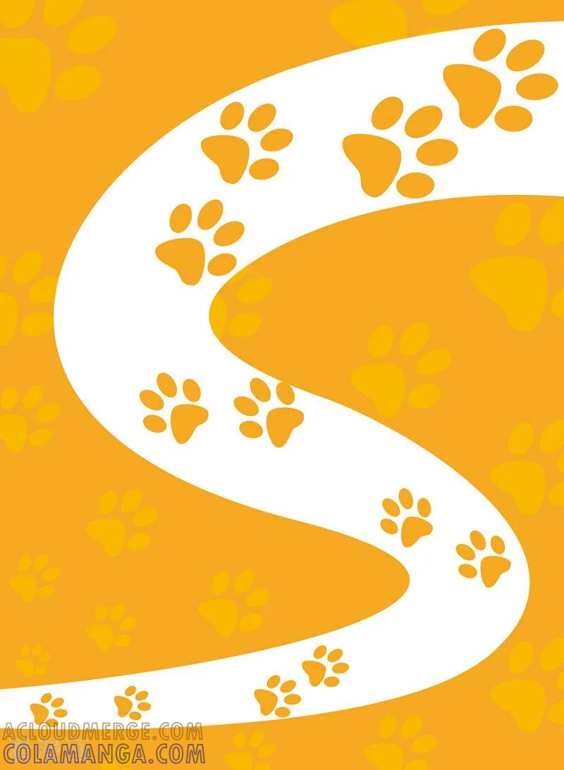 第15话-虹猫蓝兔快乐数学-虹猫蓝兔（第9张）