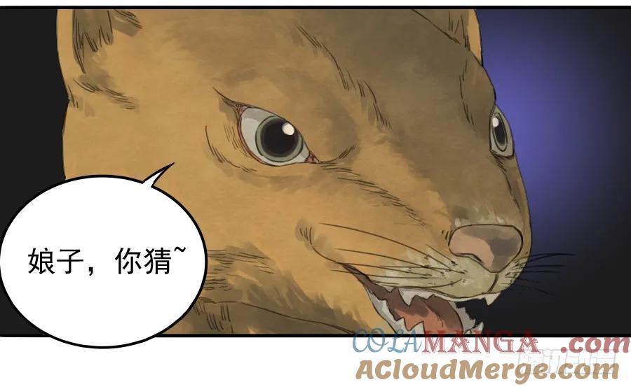 31.jpg