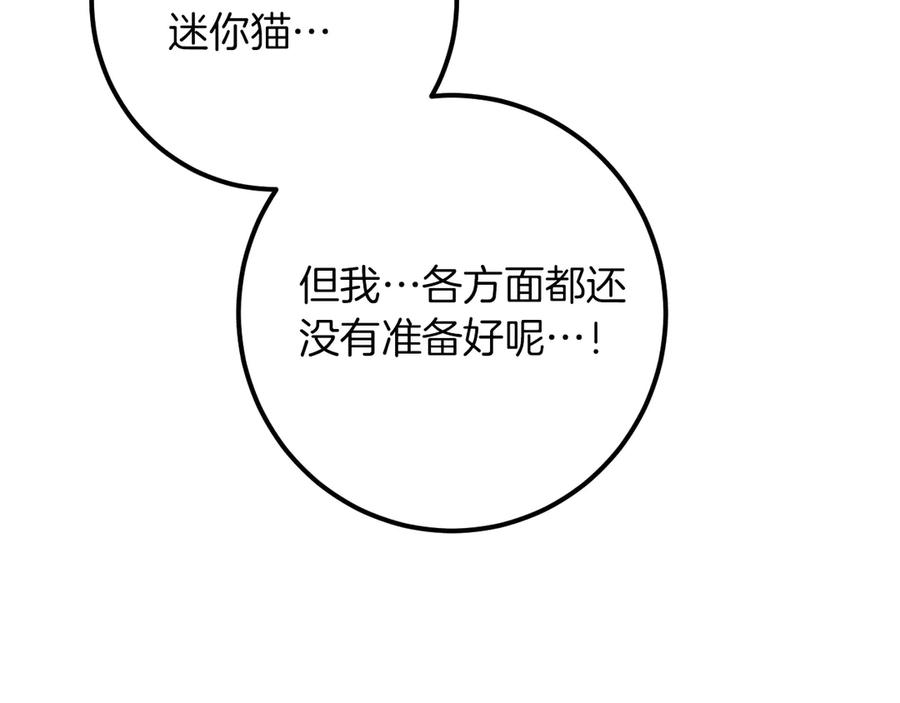 266.jpg