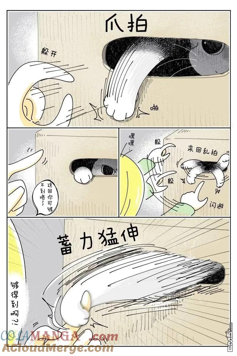 第242话-关于养猫我一直是新手-キュルZ（第1张）