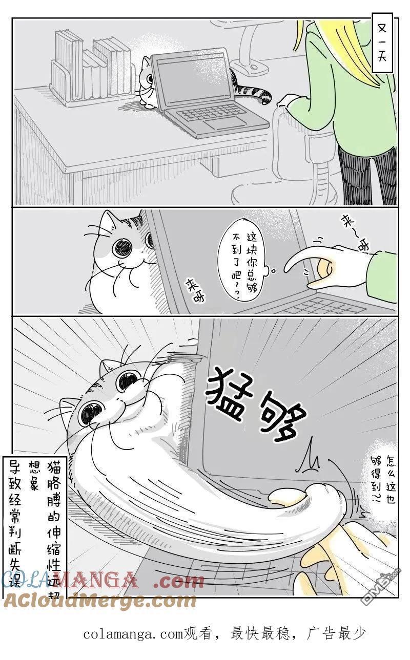 第242话-关于养猫我一直是新手-キュルZ（第2张）