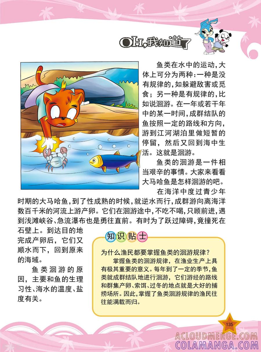 第32话-虹猫蓝兔十万个为什么-虹猫蓝兔（第3张）