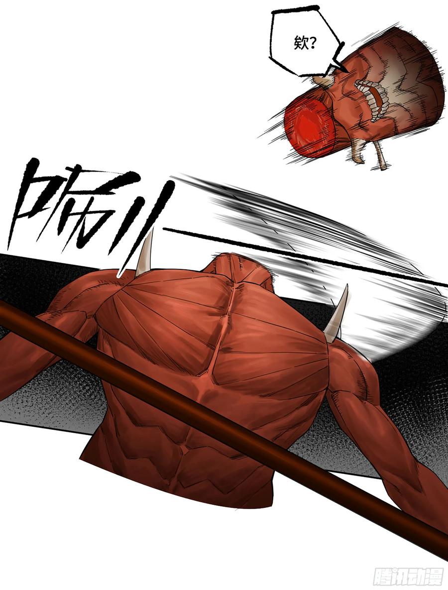 33.jpg