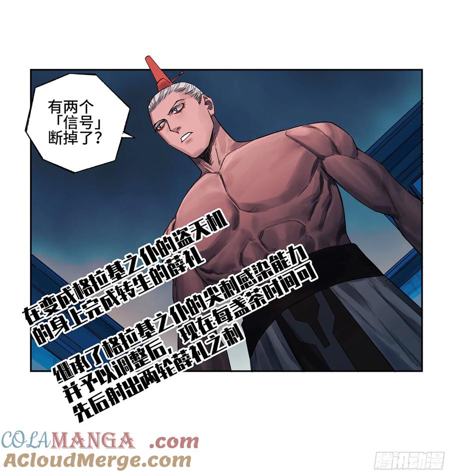 19.jpg