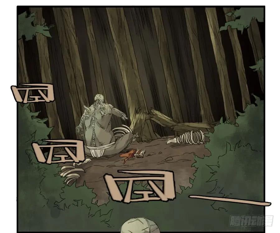 41.jpg