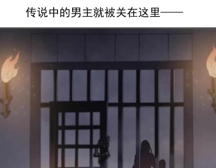 91.jpg