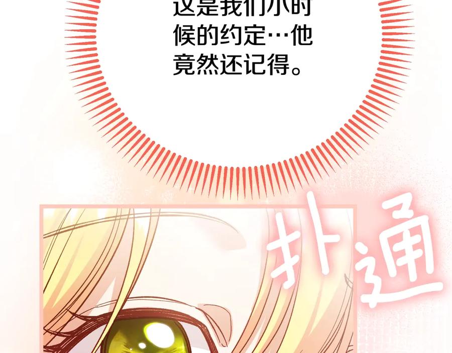 144.jpg