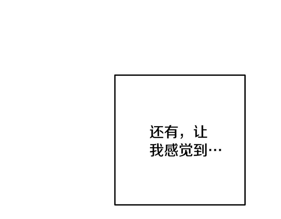 213.jpg