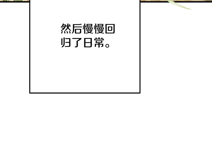 211.jpg