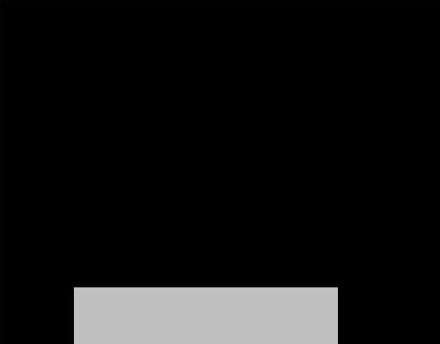 155.jpg