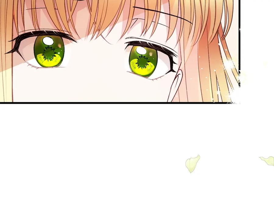 244.jpg