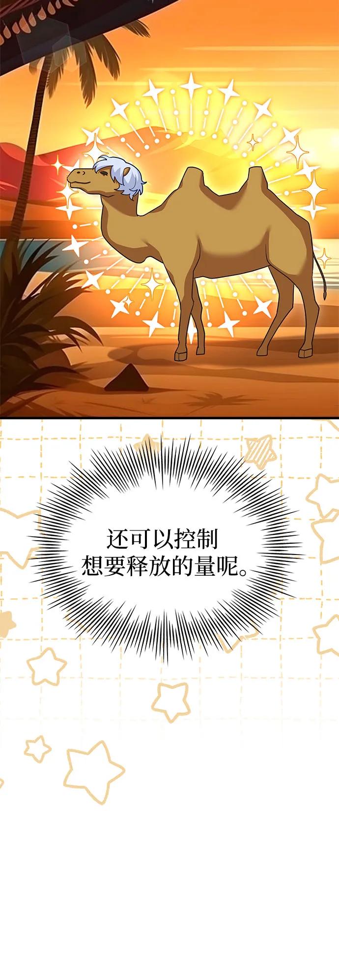 50.jpg