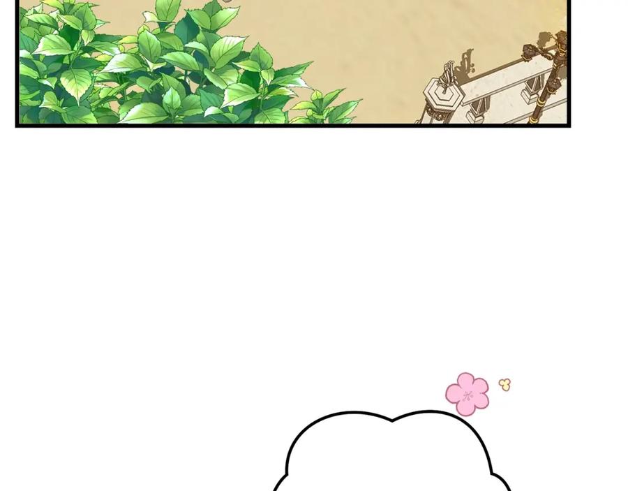 81.jpg