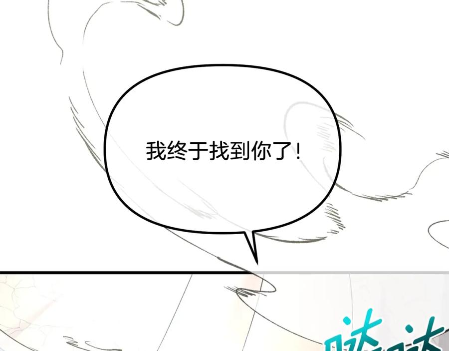 164.jpg