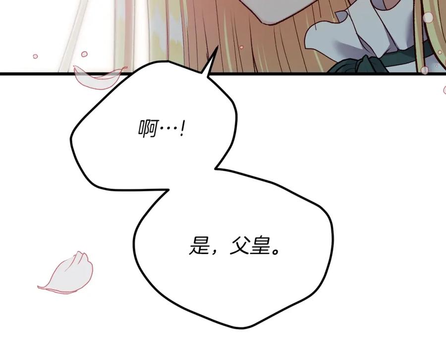 205.jpg