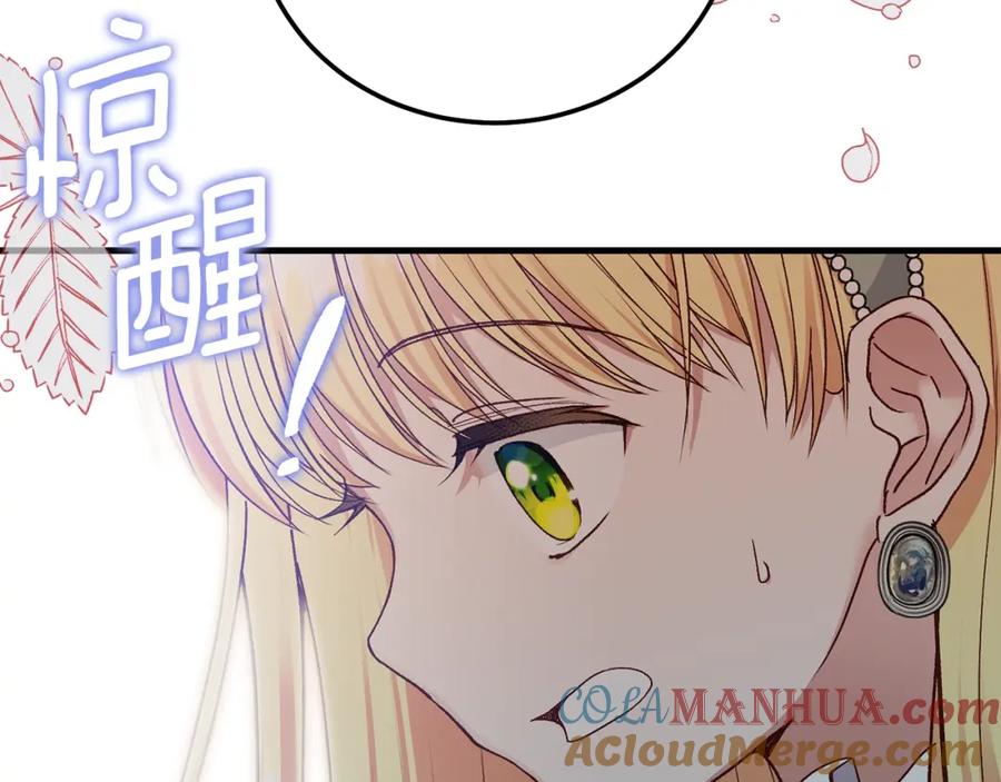 203.jpg