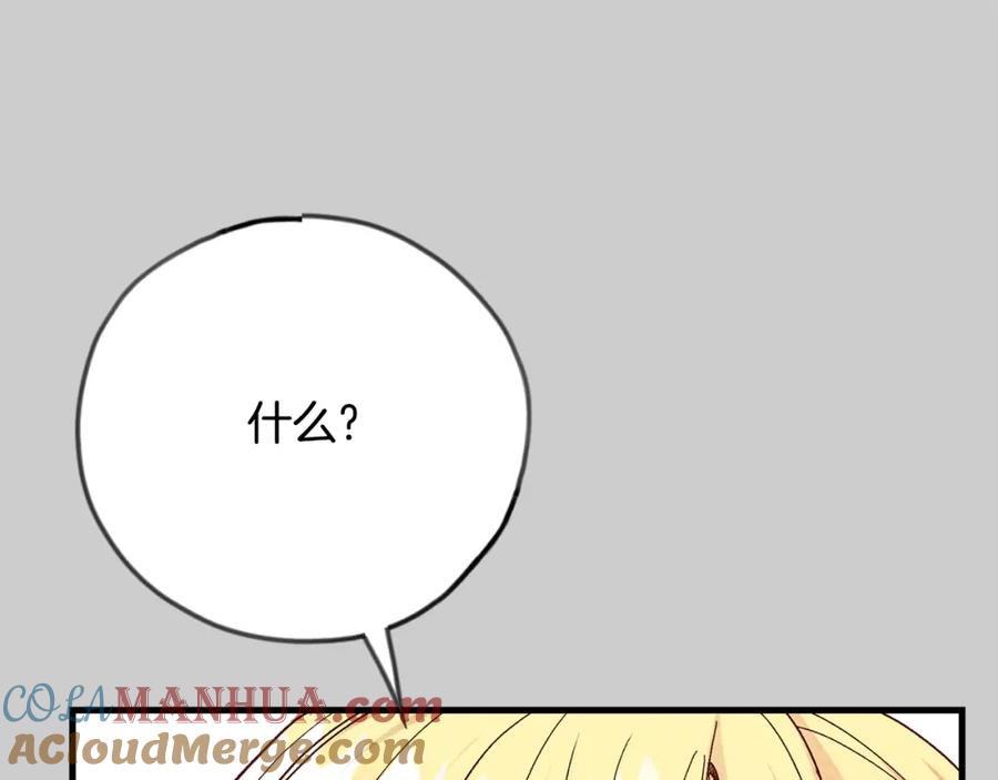 144.jpg