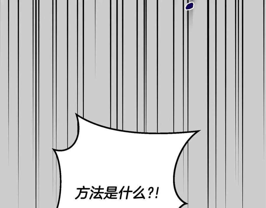 195.jpg