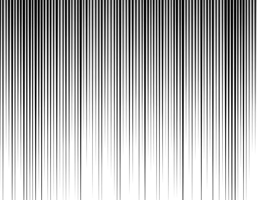 223.jpg