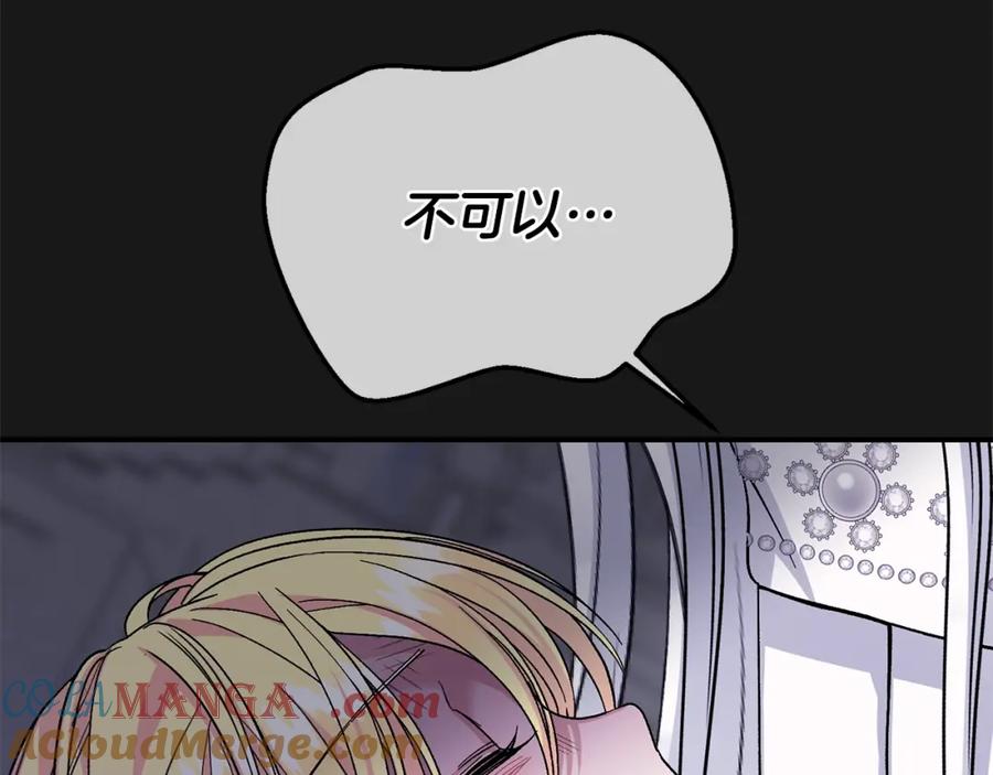233.jpg