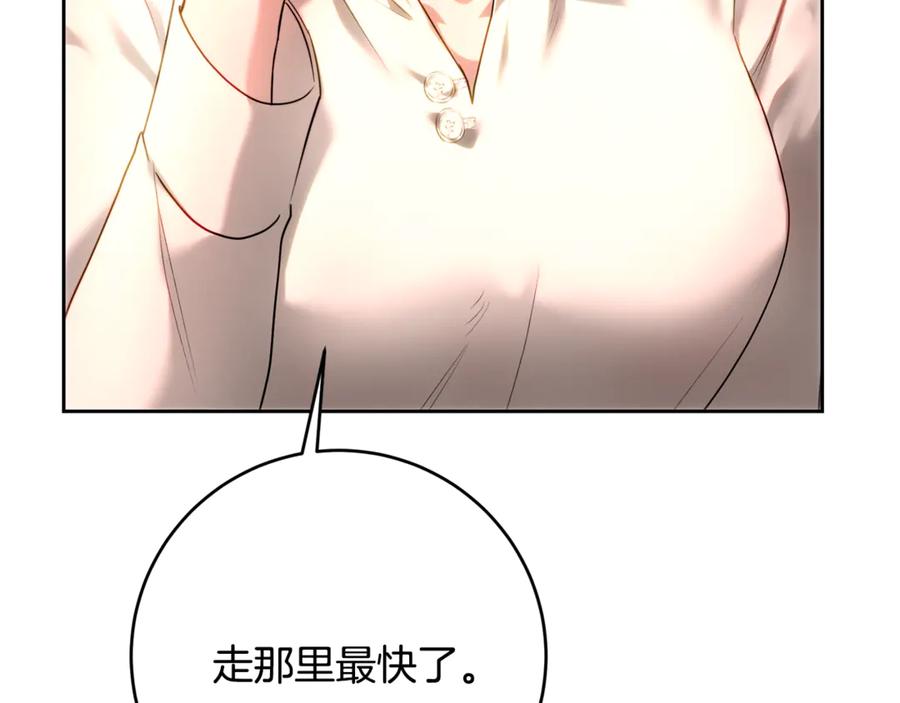 232.jpg