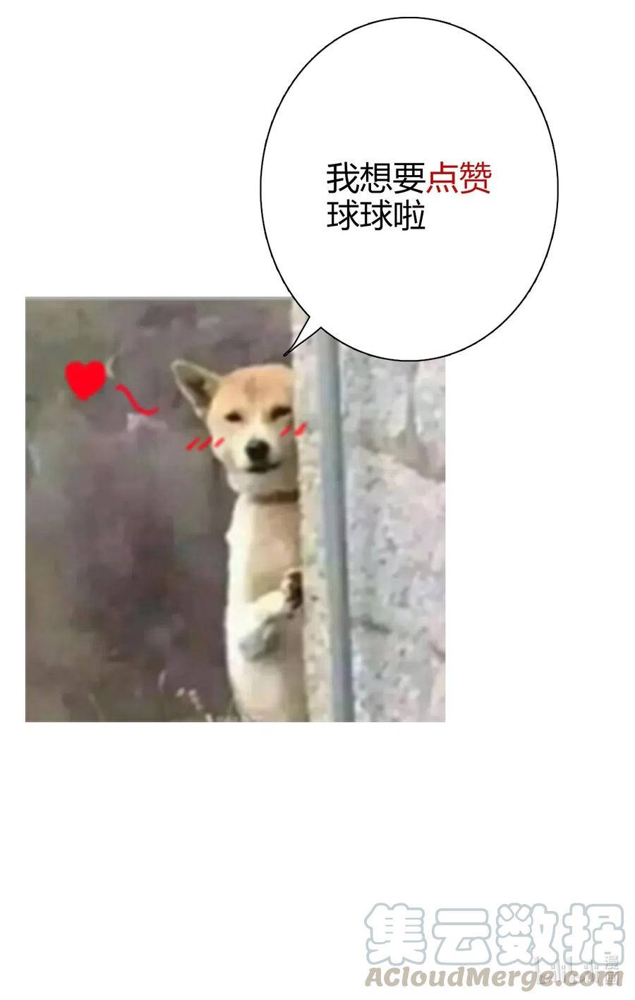 61.jpg