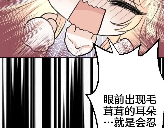52.jpg