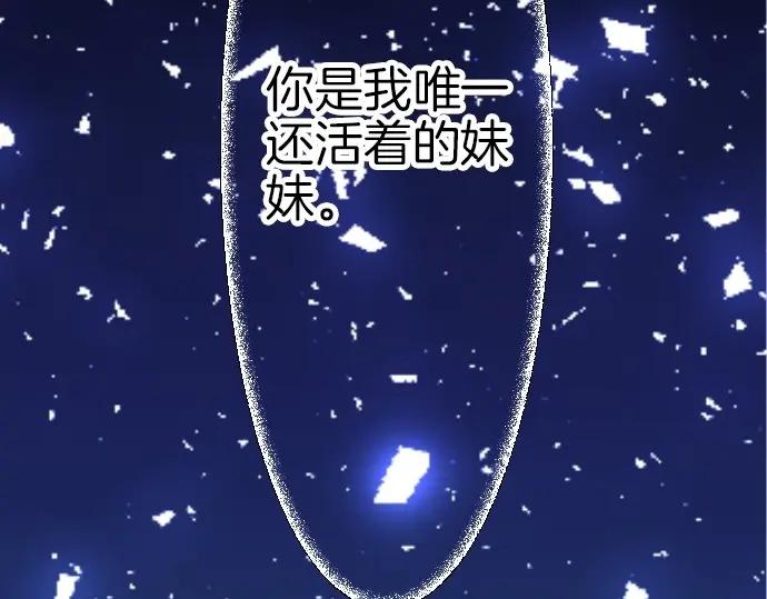 95.jpg