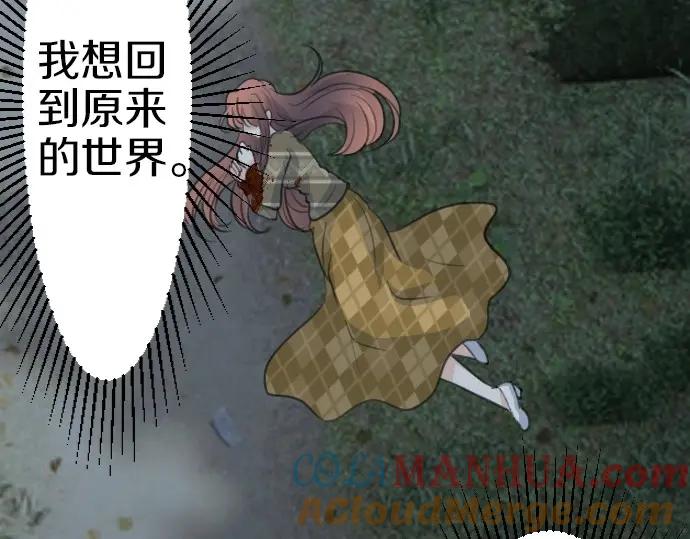 61.jpg