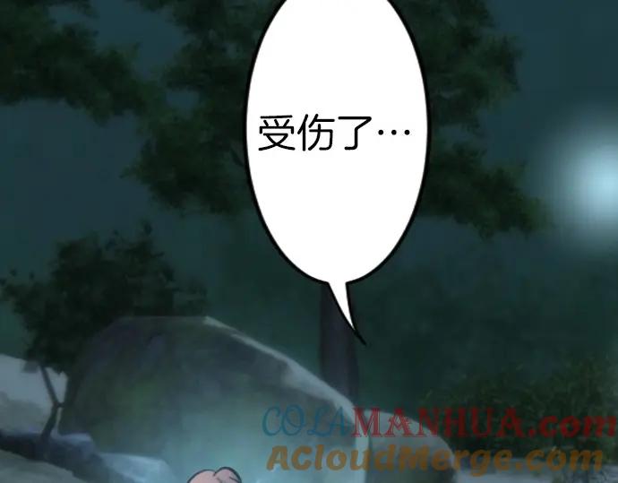 97.jpg