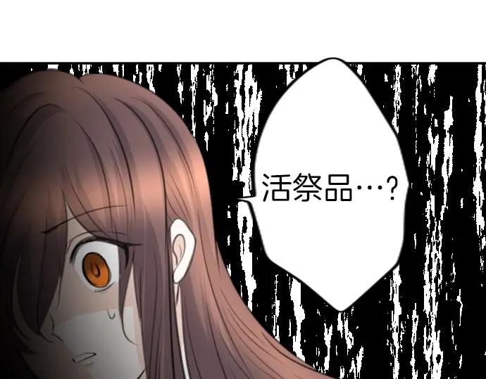 64.jpg