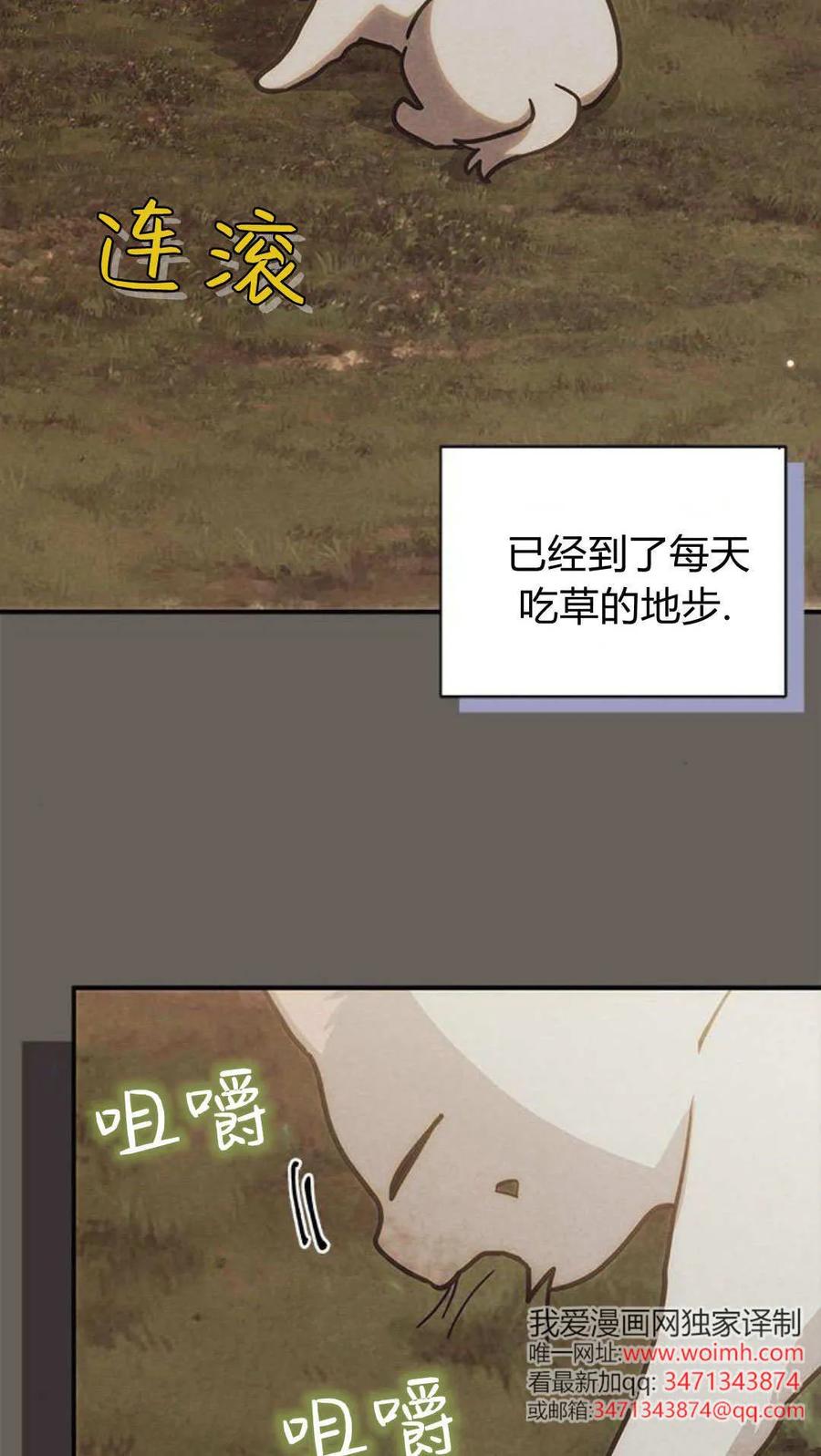 第66话-明明是猫，却被狼族收养了？-노찬주（第32张）